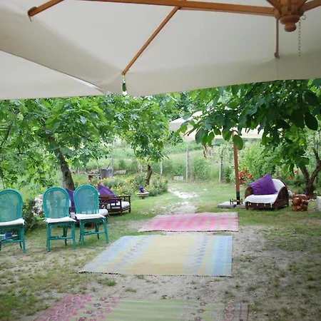 Casale Druida *