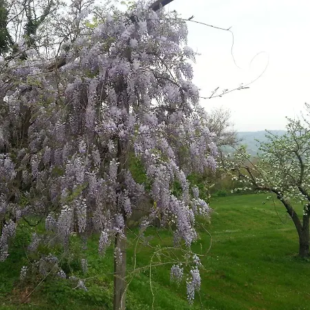 Bed & Breakfast Casale Druida Poggio Mirteto