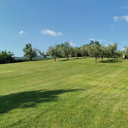 Bed & Breakfast Casale Druida