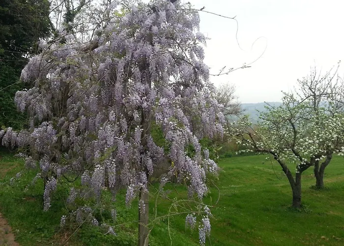 Bed and breakfast Casale Druida Poggio Mirteto